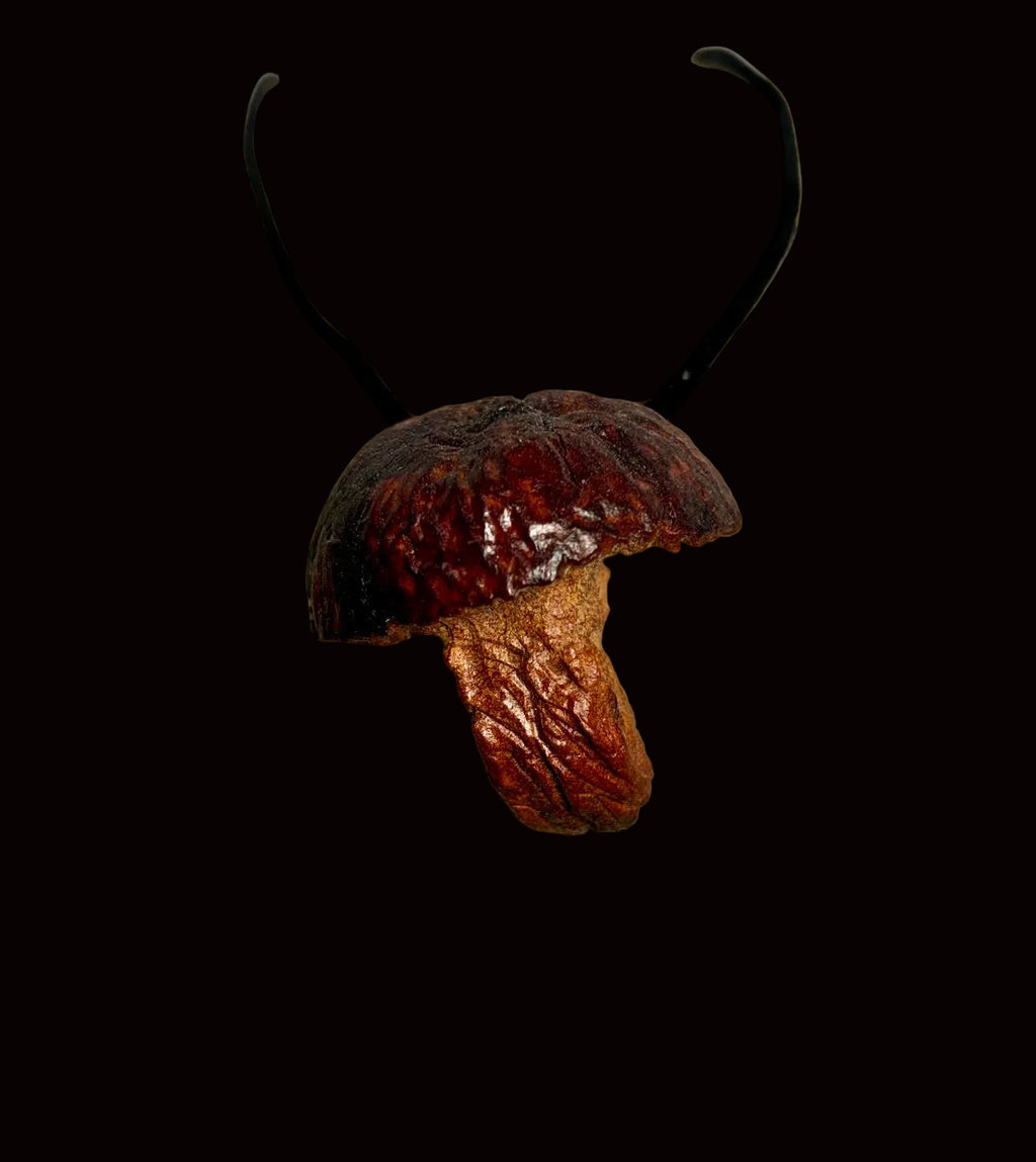 Hand-Carved Mushroom Avocado Pit Pendant AVM-001