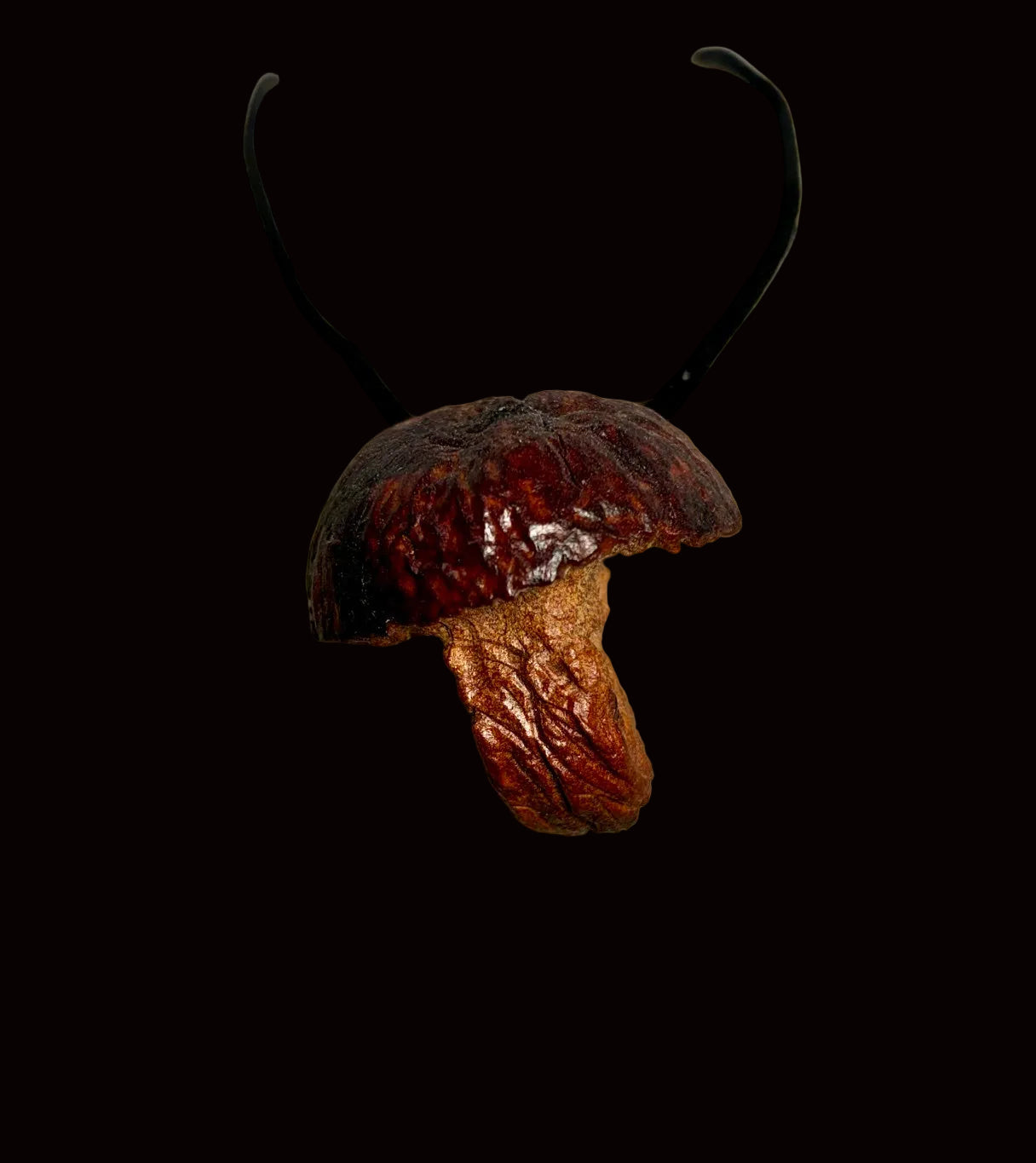 Hand-Carved Mushroom Avocado Pit Pendant AVM-001